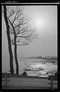 Lynn, beach scene