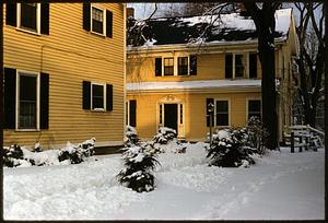 Winter scene of two yellow buildings