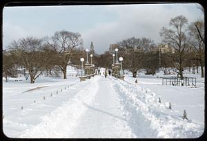 Winter, Boston Common & Garden