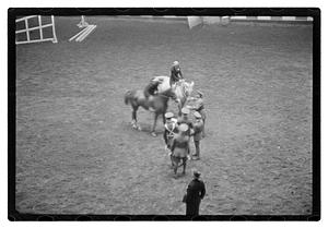 Gen. Needham polo