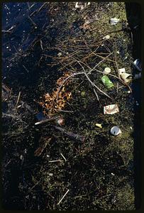 Toward Marriott Motel - shows debris at edge of river