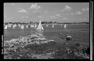 Marblehead, marine, beach and sailboats