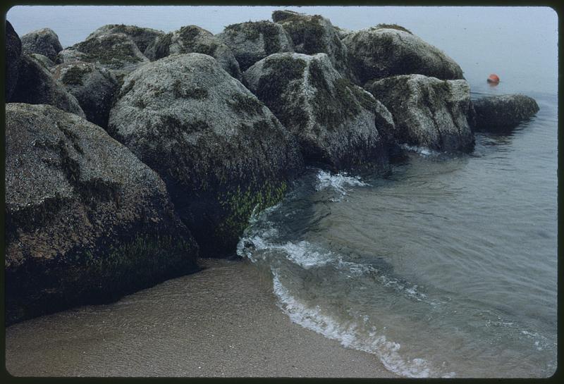 Coastal rocks