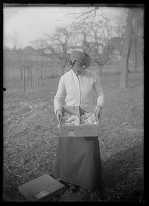 Woman holding box of chicks