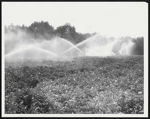 Irrigation