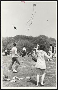 Butterfly Kite sails high over Susan Cahill of Boston and Larry Kaplan of Swampscott