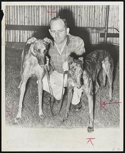 Something Special -- Paul Ryan of Wakefield, trainer for Mrs. Lillian Ryan's kennel, holds their entries in the $10,000 Wonderland Futurity, Dick's Special, left, and Speedy Special. Quarterfinals for this richest stakes for two year old greyhounds in the United States will be held at Revere tomorrow night.