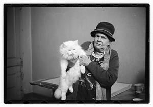 Cat show