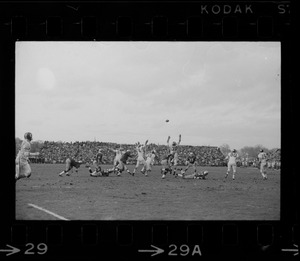 Boston College Holy Cross football game