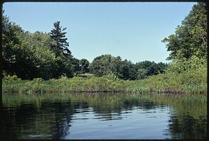 Charles River Audubon Society Reservation at Natick off Rt. 16