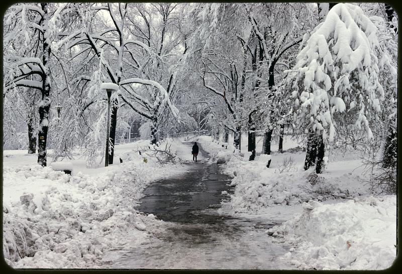 Boston Common in the snow