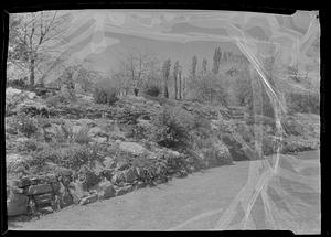 Rock garden of Mrs. Thos. Newhall (near view)