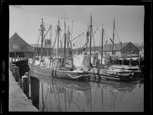 Waterfront scene, Gloucester