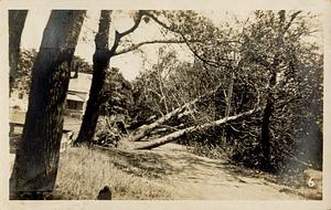 Damage from storm of August 1924, South Yarmouth, Mass.