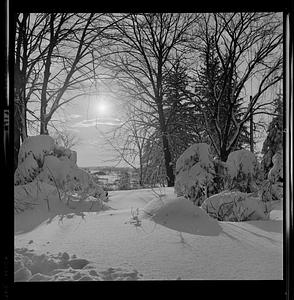 Blizzard, Guinea Bridge