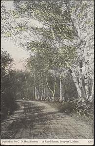 A road scene, Pepperell