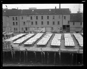 Drying fish at Gloucester