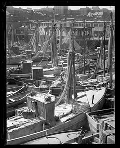 Fishing boats at T-Wharf