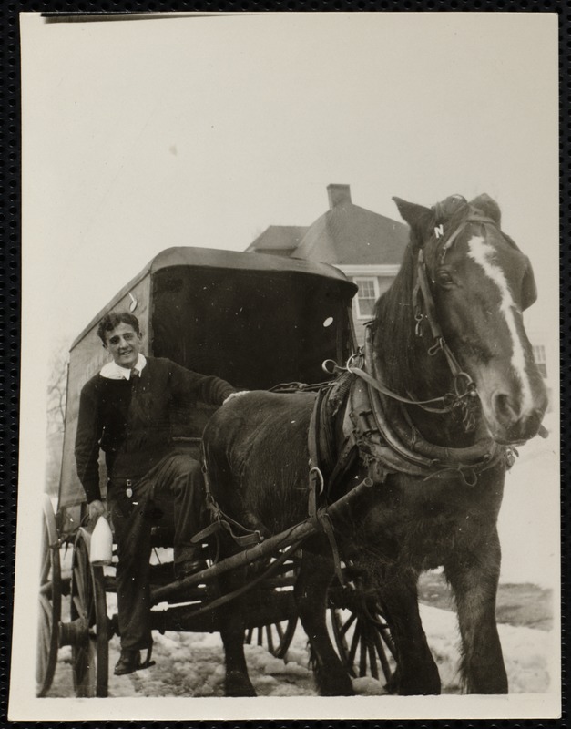 Boy posing with horse and carriage