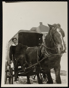 Boy posing with horse and carriage