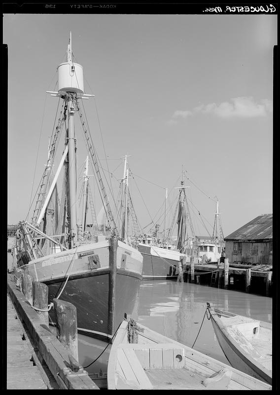 Gloucester, marine