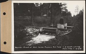 Beaver Brook at weir below Pepper's mill pond dam, Ware, Mass., 8:30 AM, May 7, 1936