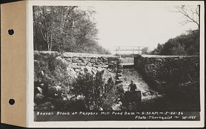 Beaver Brook at Pepper's mill pond dam, Ware, Mass., 8:30 AM, May 22, 1936