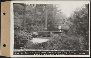 Beaver Brook at weir below Pepper's mill pond dam, Ware, Mass., 8:50 AM, Jun. 27, 1936