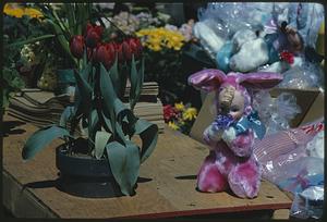 Red tulips and doll on market shelf