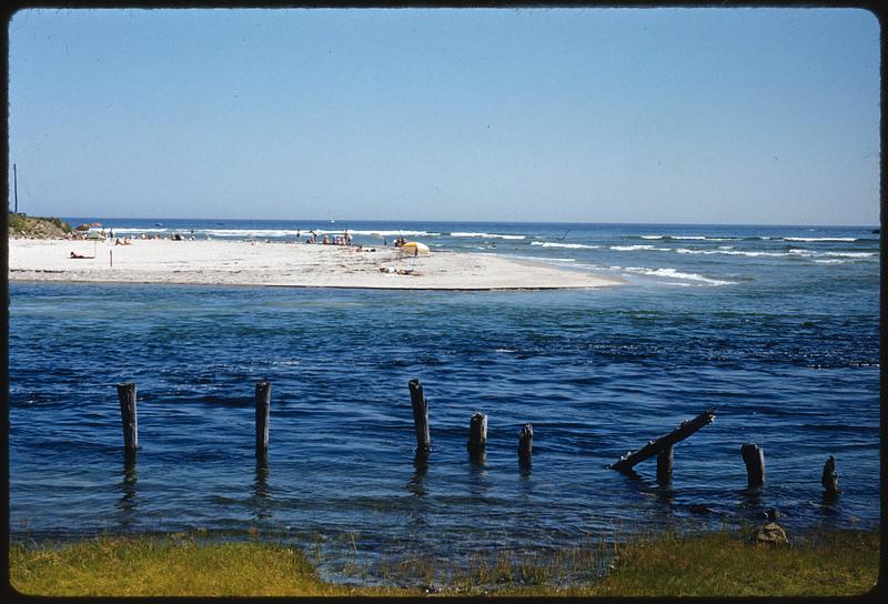 Along Maine beach