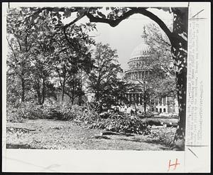 Clean Up Fallen Trees at Capitol -- Workmen are busy this morning disposing of trees felled on the U.S. capitol grounds last night by the hurricane. Damage was reported to 27 trees the area.