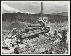 Lumber. Washington State.
