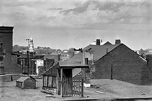 Roof top view