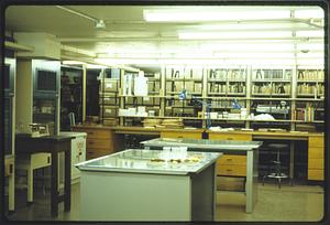 Paper shop