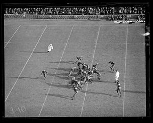 Army-Harvard action