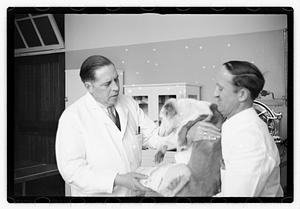 Dr. Dailey Angell Memorial Animal Hospital