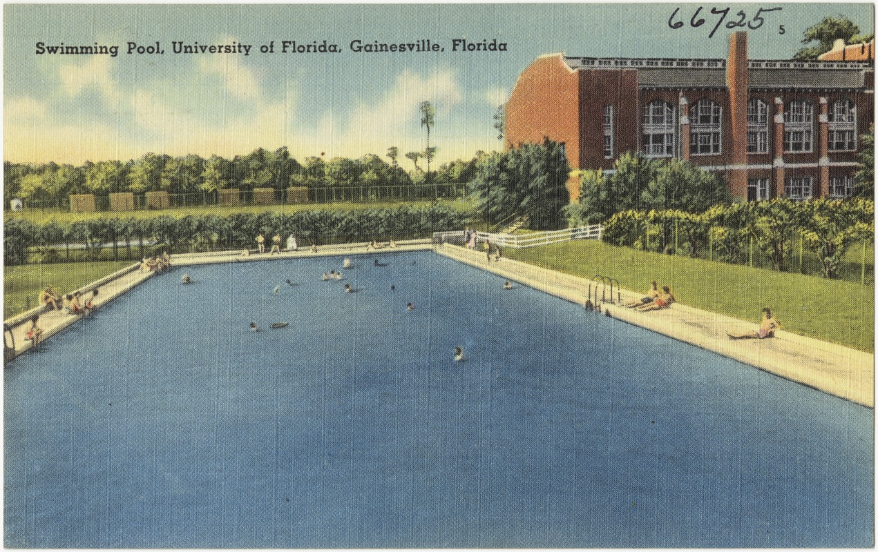 Swimming pool, University of Florida, Gainesville, Florida