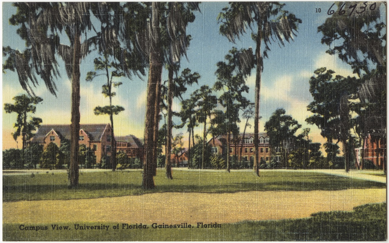 Campus view, University of Florida, Gainesville, Florida
