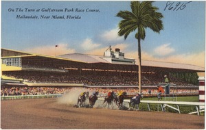On the turn at Gulfstream Park Race Course, Hallandale, near Miami, Florida