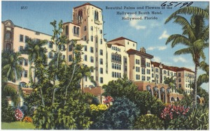 Beautiful palms and flowers of the Hollywood Beach Hotel, Hollywood, Florida