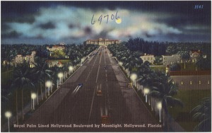 Royal palm lined Hollywood Boulevard by moonlight, Hollywood, Florida