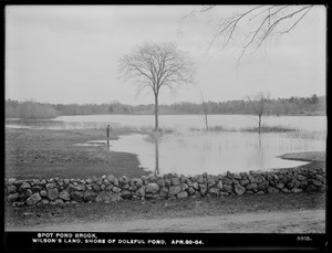 Distribution Department, Spot Pond Brook, Wilson's land, shore of Doleful Pond, Stoneham, Mass., Apr. 30, 1904