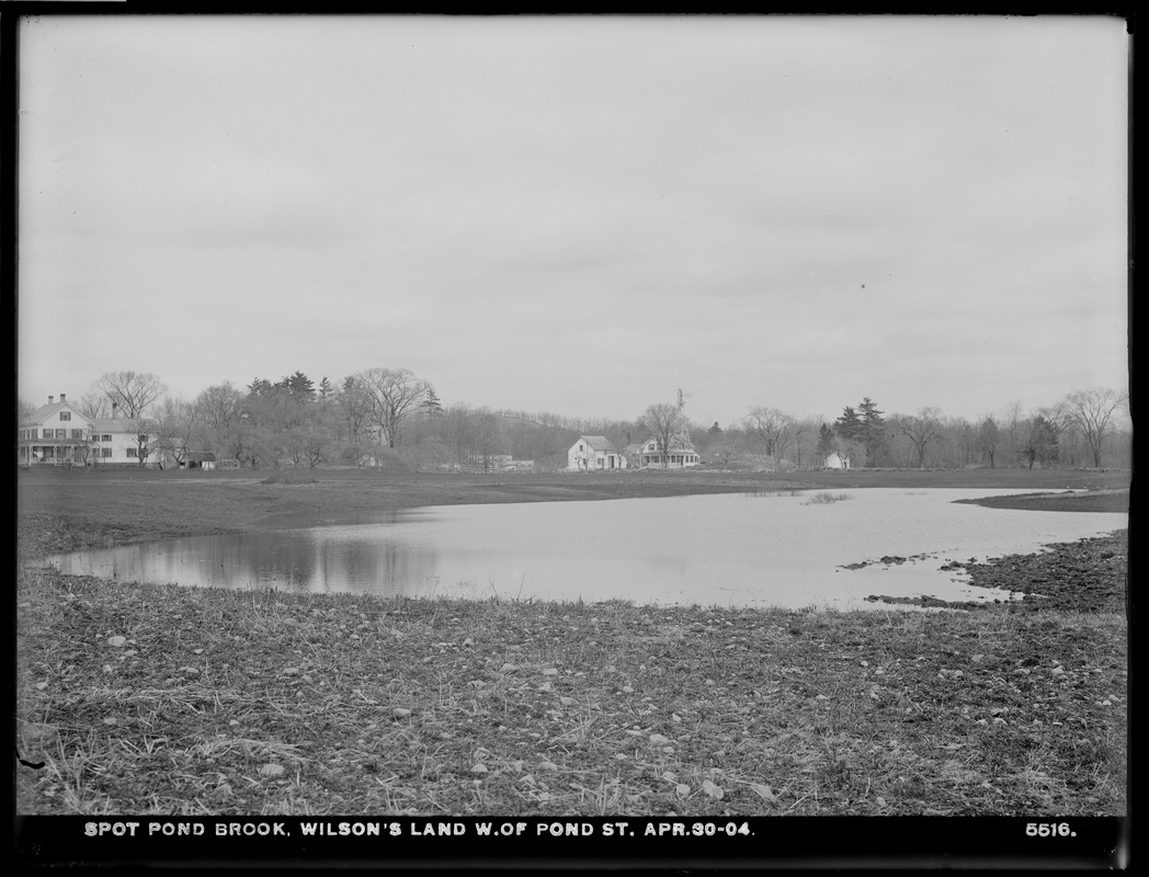 Distribution Department, Spot Pond Brook, Wilson's land west of Pond