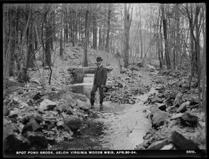 Distribution Department, Spot Pond Brook, below Virginia Woods Weir, Stoneham, Mass., Apr. 30, 1904