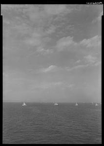 Sailing boats