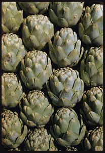 Arrangement of artichokes