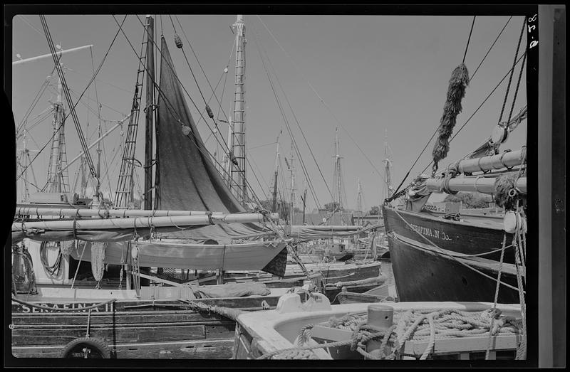 High tide, Gloucester - Digital Commonwealth