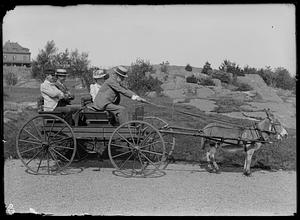 Charles W. Parker and others in carriage pulled by donkey