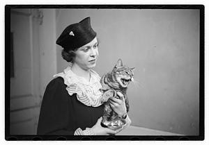 Cat show