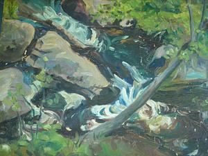 Stream, rocks, bush